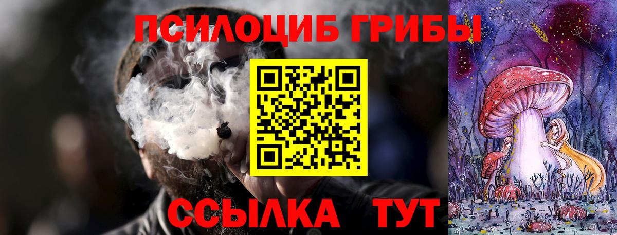 Галлюциногенные грибы MAGIC MUSHROOMS  Вход с VPN  Мурино  Галлюциногенные грибы ЛСД 