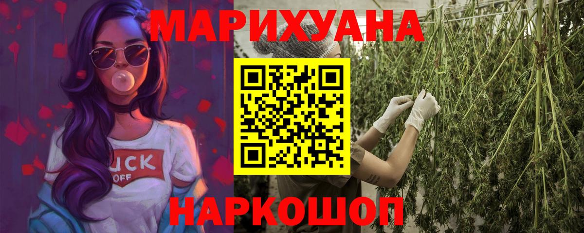 Шишки марихуана SATIVA & INDICA  Канабис SATIVA & INDICA  Марихуана план  Вход с VPN  Мурино 